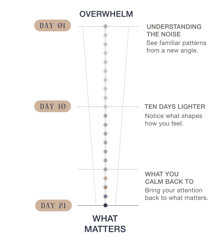 The 21-Day Reset At A Glance
